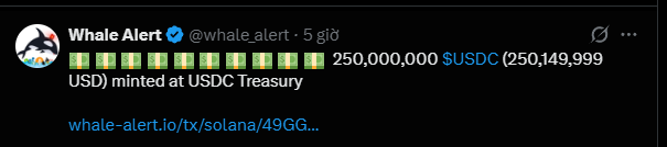 A Whale Alert tweet reporting that 250,000,000 USDC (250,149,999 USD) were minted at USDC Treasury, with a link to whale-alert.io/tx/solana/49GG.
