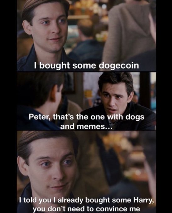 A three-panel meme featuring Peter and Harry from a Spider-Man film, with text: 'I bought some dogecoin', 'Peter, that's the one with dogs and memes...', and 'I told you I already bought some Harry, you don't need to convince me'.