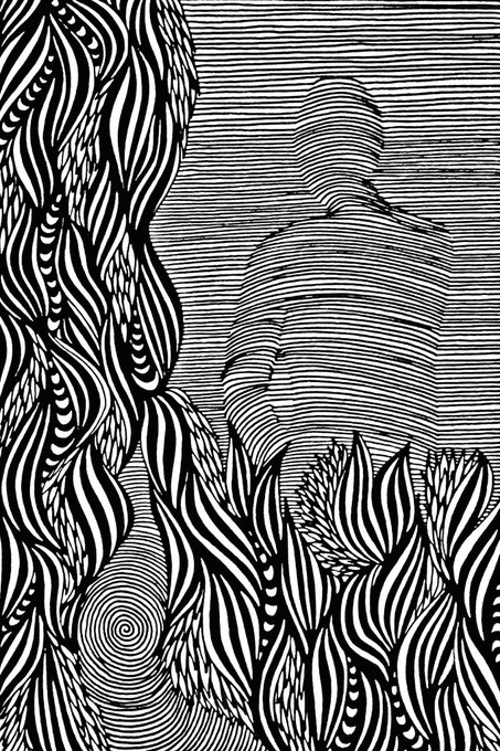 A black and white optical illusion illustration shows a figure with striped patterns alongside a vase shape, creating a contradictory 3D effect.
