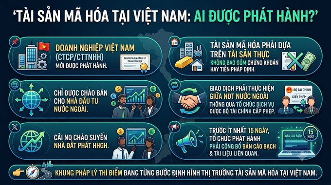 An infographic in Vietnamese titled 'TÀI SẢN MÃ HÓA TẠI VIỆT NAM: AI ĐƯỢC PHÁT HÀNH?' explains crypto asset regulations in Vietnam, noting that only Vietnamese enterprises and offerings for foreign investors are permitted, with the legal framework still being developed.