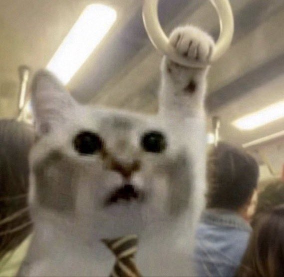 A blurry meme image of a white cat with a shocked expression, with another white paw holding a ring above its head.