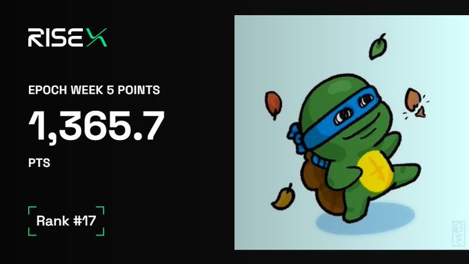 The image shows a RISEX dashboard displaying "EPOCH WEEK 5 POINTS" with a score of 1,365.7 PTS at Rank #17, alongside a cartoon ninja turtle character, illustrating the poster's accumulation of RISEX trading points after their account was liquidated.