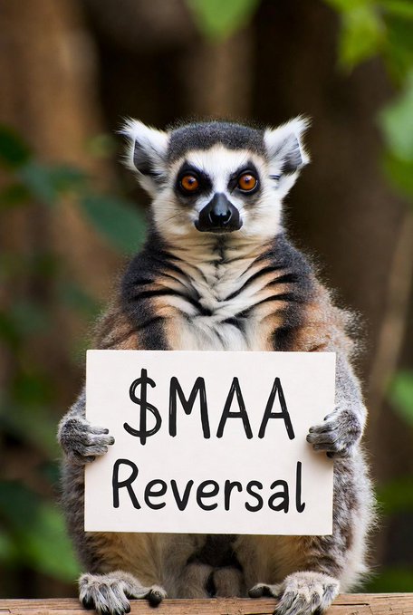 The image features a lemur holding up a sign that reads "$MMA $REVERSAL". This suggests that the lemur might be promoting or supporting an event, cause, or organization related to $MMA. The lemur is sitting on a wooden structure and appears to be in front of some trees, which could indicate its natural habitat or location.