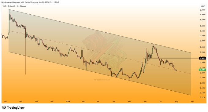 A TradingView chart of WLD/USDT on Binance shows the price trading within a descending channel since September, currently pulling back to the middle band around $0.30, with channel resistance visible near $0.45.