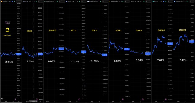 A TradingView dashboard from August 29th displays nine panels showing the market capitalization share of Bitcoin (BTC Dominance at 59.99%) alongside major L1 networks and stablecoins: SOL (2.35%), HYPE (0.80%), ETH (11.31%), SUI (0.115%), BNB (3.52%), XRP (3.34%), USDT (7.01%), and USDC (2.83%), illustrating how capital cycles between stablecoins and crypto assets over time.