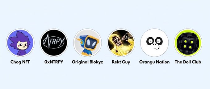A row of six circular NFT profile icons labeled Chog NFT, 0xNTRPY, Original Blokyz, Rekt Guy, Orangu Nation, and The Doll Club.