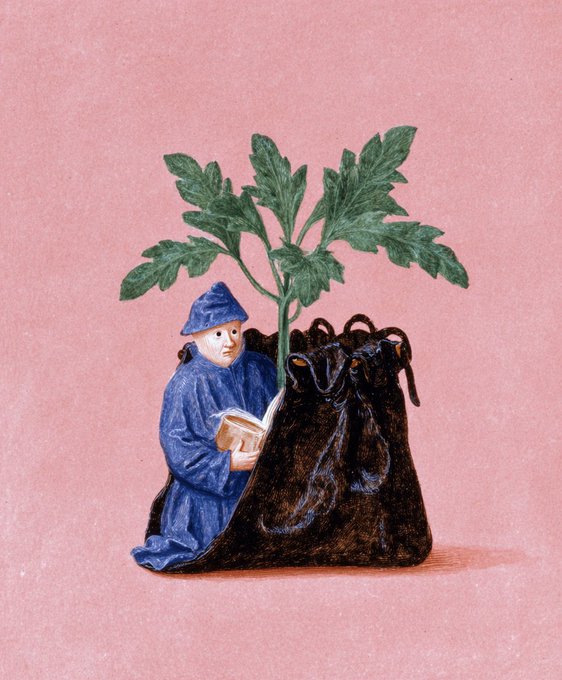 An illustration featuring a small figure dressed in a blue robe and pointed hat reading a book next to a large dark pot with a leafy green plant growing out of it, set against a pink background.