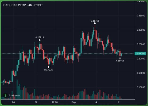 A 4-hour candlestick chart of CASHCAT PERP on Bybit shows the token trading around $0.21780, with recent price action ranging from a low of $0.17676 to a high of $0.31755, illustrating the prolonged sideways consolidation referenced in the post about holding through months of quiet price action.