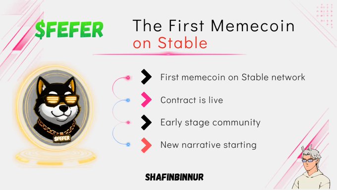 Promotional graphic for '$FEFER - The First Memecoin on Stable', featuring a cartoon dog wearing gold sunglasses and chains, with bullet points listing 'First memecoin on Stable network', 'Contract is live', 'Early stage community', and 'New narrative starting'.