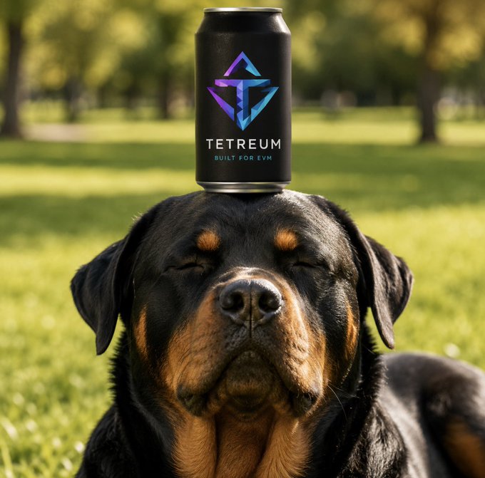 A Rottweiler rests with its eyes closed in a park, balancing a black energy can labeled "TETREUM BUILT FOR EVM" with an Ethereum logo on its head.
