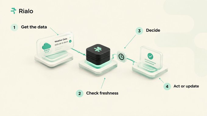 An infographic for 'Rialo' illustrating a four-step process: 1) Get the data, 2) Check freshness, 3) Decide, and 4) Act or update, using isometric tech graphics.