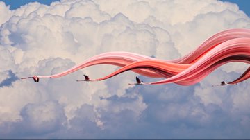 A surreal image showing several birds in flight connected to a flowing pink ribbon-like form against a backdrop of fluffy white clouds and blue sky.