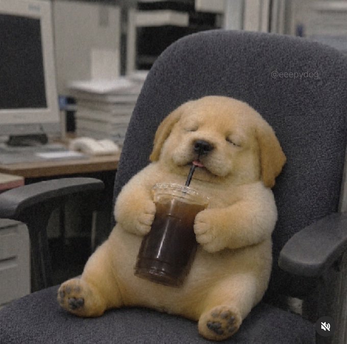 A golden puppy sits in an office chair sipping an iced coffee with closed eyes and tongue out, captioned "@eeepydog" — fittingly matching the "sat in the trenches" vibe of grinding on Arbitrum with a calm, caffeine-fueled focus.