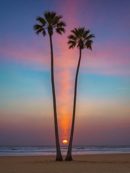 The image features two palm trees standing side by side on a beach at sunset. The sun is setting behind the trees, casting a warm glow over the scene. The sky above them is painted with hues of pink and orange, creating a beautiful backdrop for the tropical atmosphere. The photo captures the essence of a serene evening at the beach, evoking feelings of relaxation and tranquility.
