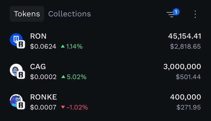 A cryptocurrency portfolio screen showing tokens RON ($0.0624, up 1.14%), CAG ($0.0002, up 5.02%), and RONKE ($0.0007, down 1.02%) with their respective holdings and values.