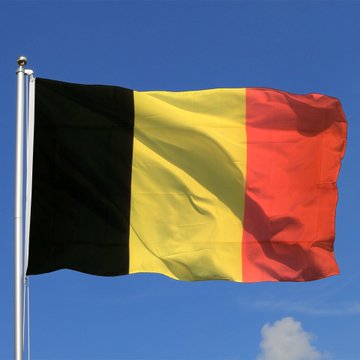 The image shows the Belgian national flag—featuring vertical stripes of black, yellow, and red—waving on a flagpole against a clear blue sky. It visually represents Belgium, the country whose financial regulator is taking action against unauthorized crypto firms under the EU's MiCA framework.