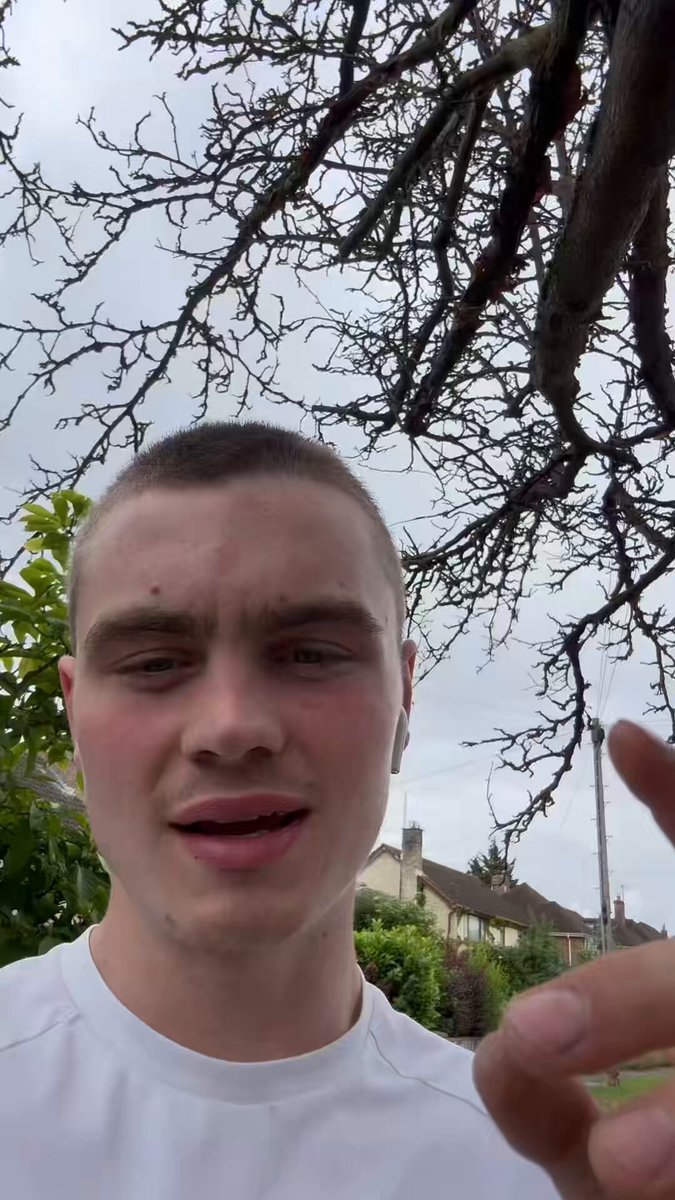 The image features a young man wearing a white shirt, standing under some trees with bare branches against an overcast sky. The man appears to be looking up at something or someone above him, possibly indicating that he's trying to find his way or searching for something in the distance.