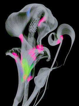 An abstract 3D rendering of flowing organic shapes with neon pink and green accents against a black background, resembling twisted ribbons or fluid forms.