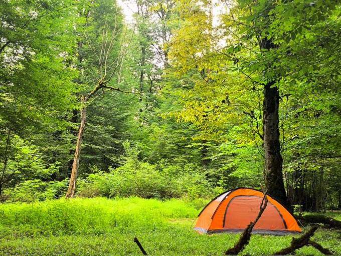 A bright orange camping tent pitched in a lush green forest clearing surrounded by tall trees.