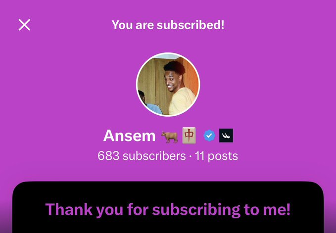 A subscription confirmation screen for "Ansem" with 683 subscribers and 11 posts, featuring the message "Thank you for subscribing to me!" The post about being "ready for the bullrun" with @blknoiz06 likely promoted this subscription moment as part of a crypto or trading community update.