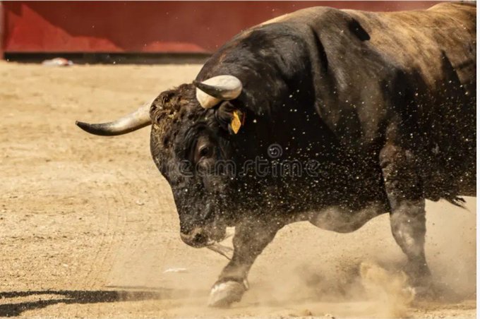 A dramatic action photo of a powerful black bull charging through a sandy arena, kicking up dust, with a 'Dreamstime' watermark visible across the image.