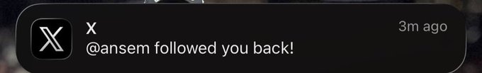 A Twitter/X notification shows that @ansem followed the user back, posted 3 minutes ago. The accompanying post dismisses the follow as a "pitty follow," with the user warning of a potential -99% loss in relation to $ANSEM.