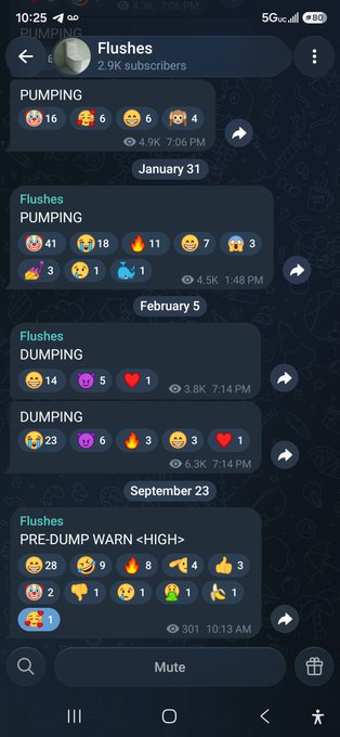A Telegram channel called 'Flushes' (2.9K subscribers) displays a history of posts with emoji-laden messages titled 'PUMPING', 'DUMPING', and 'PRE-DUMP WARN <HIGH>'.