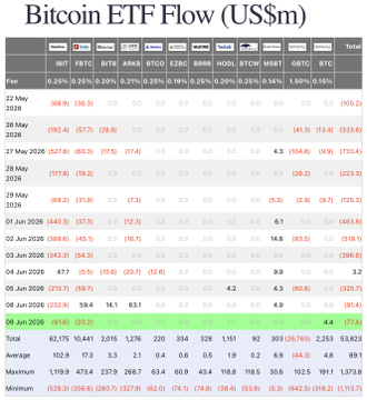 The image features a spreadsheet showing different ETFs (Exchange-Traded Funds) such as Bitcoin, Ethereum, and others. The spread shows that the value of these assets has been fluctuating over time. Among the ETFs, there is one with a green highlight indicating its performance in comparison to another ETF or index. This chart provides an overview of how various assets have performed relative to each other within a specific timeframe. It is important for investors and financial analysts to understand the historical data and trends displayed in such charts to make informed decisions regarding their investments and market strategies.