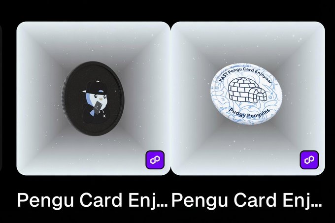 Two digital collectible items called 'Pudu Pengu Card Enjoyer' displayed in white boxes, one featuring a penguin in a suit and the other showing an igloo design.
