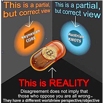 An illustration showing a red cylinder between two glowing orbs labeled 'Keynesian CORE' and 'Austrian KNOTS', with text stating 'This is REALITY - Disagreement does not imply that those who oppose you are all wrong - They have a different worldview/perspective/objective'.