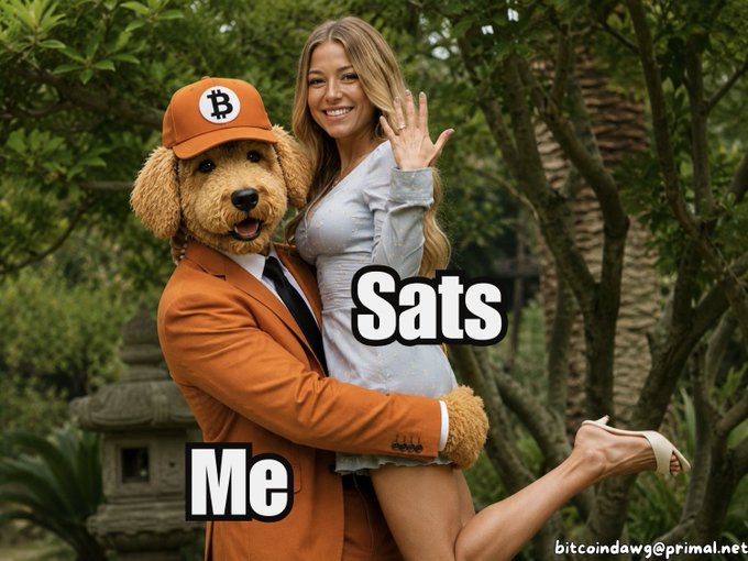 A meme featuring a person in a dog costume wearing an orange suit and Bitcoin cap labeled 'Me', hugging a woman labeled 'Sats', with the email 'bitcoindawg@primal.net' visible.
