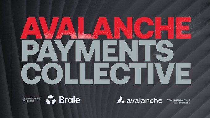 The image features a poster with a black background that prominently displays the text "AVACHE PAYMENTS COLLECTIVE". The poster also includes logos for two companies, "Brale" and "AVACHE", which are likely associated with the payments collective. The text on the poster reads "Focus on what is in the image and how it relates to the post." This suggests that the poster is promoting a collaboration between different parties within the payments ecosystem or highlighting the importance of the Avalanche Payments Collective's work.