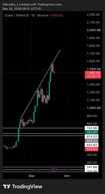 The image shows a TradingView daily candlestick chart of Zcash/Tether (ZEC) on Binance, with the price currently at $1,450.93, displaying a sharp uptrend from ~$500 in early September followed by a strong rally and recent pullback from highs near $1,700. The chart features key horizontal support levels marked at $742.96, $741.91, $674.53, $649.33, $643.82, $629.04, $241.68, and $206.98, supporting the poster's observation of a "clean three drive" pattern suggesting potential bearish reversal on the otherwise strong-performing $ZEC.