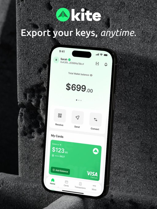 A promotional image for 'kite' cryptocurrency, showing a smartphone displaying a wallet app with a '$699.00' total balance and a green Visa Platinum card; the text reads 'Export your keys, anytime.'