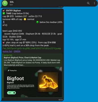 A screenshot of a Solana (SOL) chat application displaying market analysis for the Bigfoot ($BIGFOOT) token, including details such as TAKE ($4.15k), volume metrics, holder counts, top buyers/sellers with profit percentages, and a Pump.fun link.