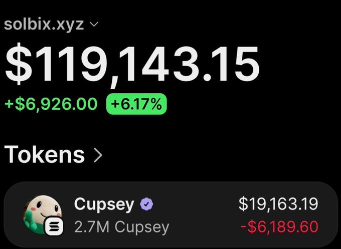A crypto wallet tracking dashboard at solbix.xyz shows a portfolio value of $119,143.15 with a daily gain of +$6,926.00 (+6.17%), featuring a 2.7M token holding of "Cupsey" currently valued at $19,163.19 but down $6,189.60 in the displayed timeframe.
