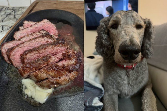 A split image: on the left, a sliced cooked steak in a cast iron skillet with butter; on the right, a close-up of a gray poodle with a red collar.