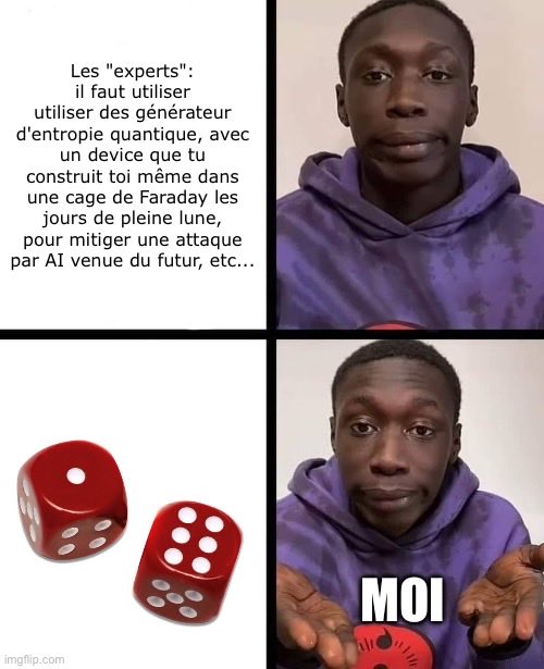 A four-panel meme in French featuring a young man. The top panels contrast complex 'expert' advice involving quantum entropy generators and Faraday cages with the bottom panels showing simple dice and the man with 'MOI' (me), implying he'll just rely on chance.