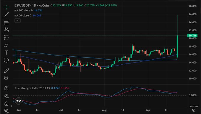 TradingView chart of BSV/USDT on KuCoin showing a price of 20.739, up +22.93%, with a sharp recent green candle spike.