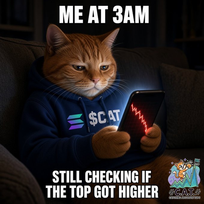 A meme image of an orange cat wearing a hoodie with a Solana logo and '$CAT' text, looking at a phone displaying a falling chart, captioned 'ME AT 3AM' and 'STILL CHECKING IF THE TOP GOT HIGHER,' branded as the Cat in Absolute Top (C.A.T.) cryptocurrency.