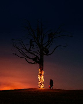 A silhouette of a burning tree on a hill at dusk with a cloaked figure standing beside it against an orange and purple twilight sky.