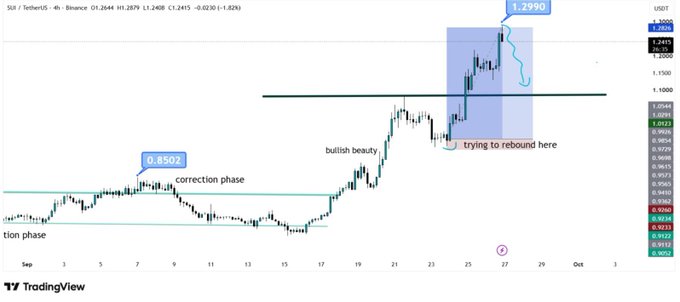 SUI/USD 4-hour chart on Binance shows the price rejecting from the $1.2990 level (marked with a blue shaded zone), confirming the bearish short setup mentioned in the post. The chart highlights key technical levels including the $1.10 horizontal support line being watched as the next downside target, along with annotations for the prior correction phase bottom at $0.8502 and a "bullish beauty" rally.