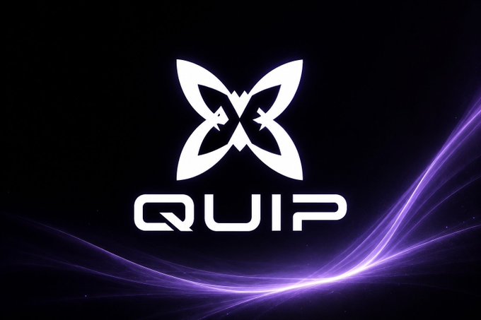 A black background with purple light waves showcasing the QUIP logo, which features a stylized butterfly/owl emblem.