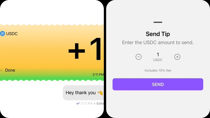 The image shows two mobile app screens demonstrating a USDC tipping feature within a messaging interface: on the left, a chat screen displaying a "+1" USDC transaction confirmation with a "Done" status and a "Hey thank you" reply message at 2:17 PM, and on the right, a "Send Tip" screen allowing users to adjust the USDC amount with +/- buttons (showing 1 USDC, includes 15% fee) and a purple "SEND" button. This visual illustrates the post's description of Sl8's integration of USDC tipping directly into DMs via the Stellar Ledger, capturing the seamless cycle of sending a tip and receiving a grateful response.