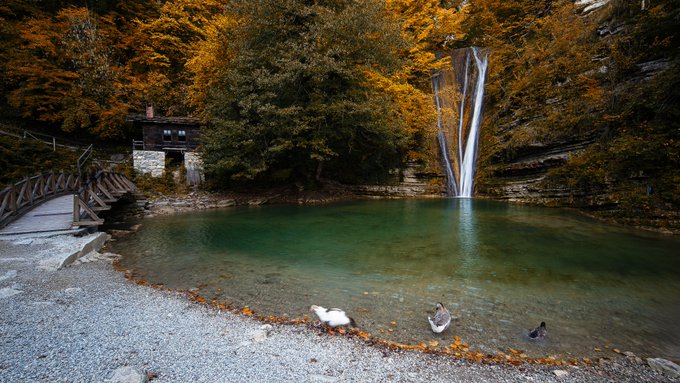A serene autumn scene features a waterfall cascading into a clear pool surrounded by vibrant orange and yellow foliage, with a small stone building and wooden footbridge on the left. Three waterfowl rest along the rocky shore, adding life to the tranquil landscape.