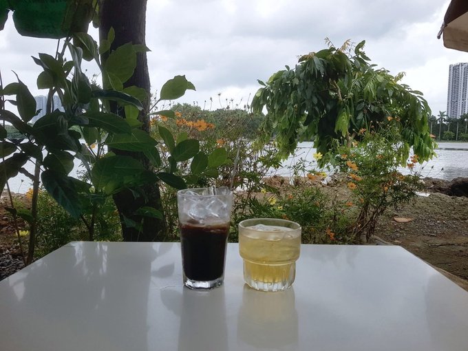 Two drinks, one dark iced beverage and one yellow iced beverage, sit on a white table outdoors with lush greenery, flowers, and a body of water with a high-rise building in the background.