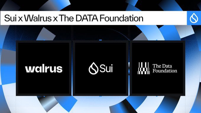 A graphic banner titled "Sui x Walrus x The DATA Foundation" displaying the logos for Walrus, Sui, and The Data Foundation against a blue geometric background.