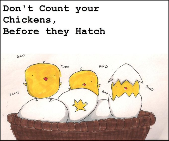 The image features a cartoon illustration of three chicks sitting inside an egg, with one chick's head poking out. The text "Don't count your chickens before they hatch" is written above the illustration. This message seems to be related to the post about the $POLY claim and Restricted Region.