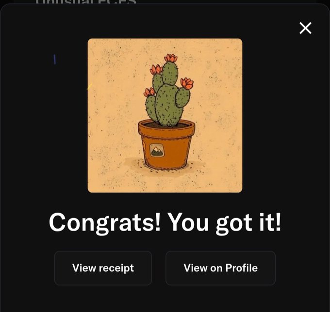 A digital marketplace notification displays a cartoon prickly pear cactus in a terracotta pot with the text "Congrats! You got it!" along with buttons to "View receipt" and "View on Profile," celebrating a successful NFT acquisition from FNFweb3 purchased by LissaNFT2021.