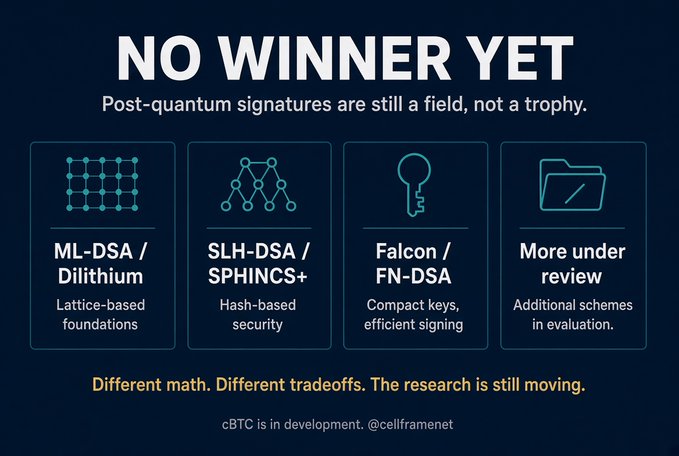 An infographic titled 'NO WINNER YET' discusses post-quantum signatures, comparing ML-DSA/Dilithium (lattice-based), SLH-DSA/SPHINCS+ (hash-based), Falcon/FN-DSA (compact keys), and more under review, with text noting 'Different math. Different tradeoffs. The research is still moving.' and a cBTC development credit to @cellframenet.